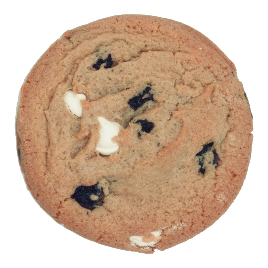 White Chocolate Blueberry