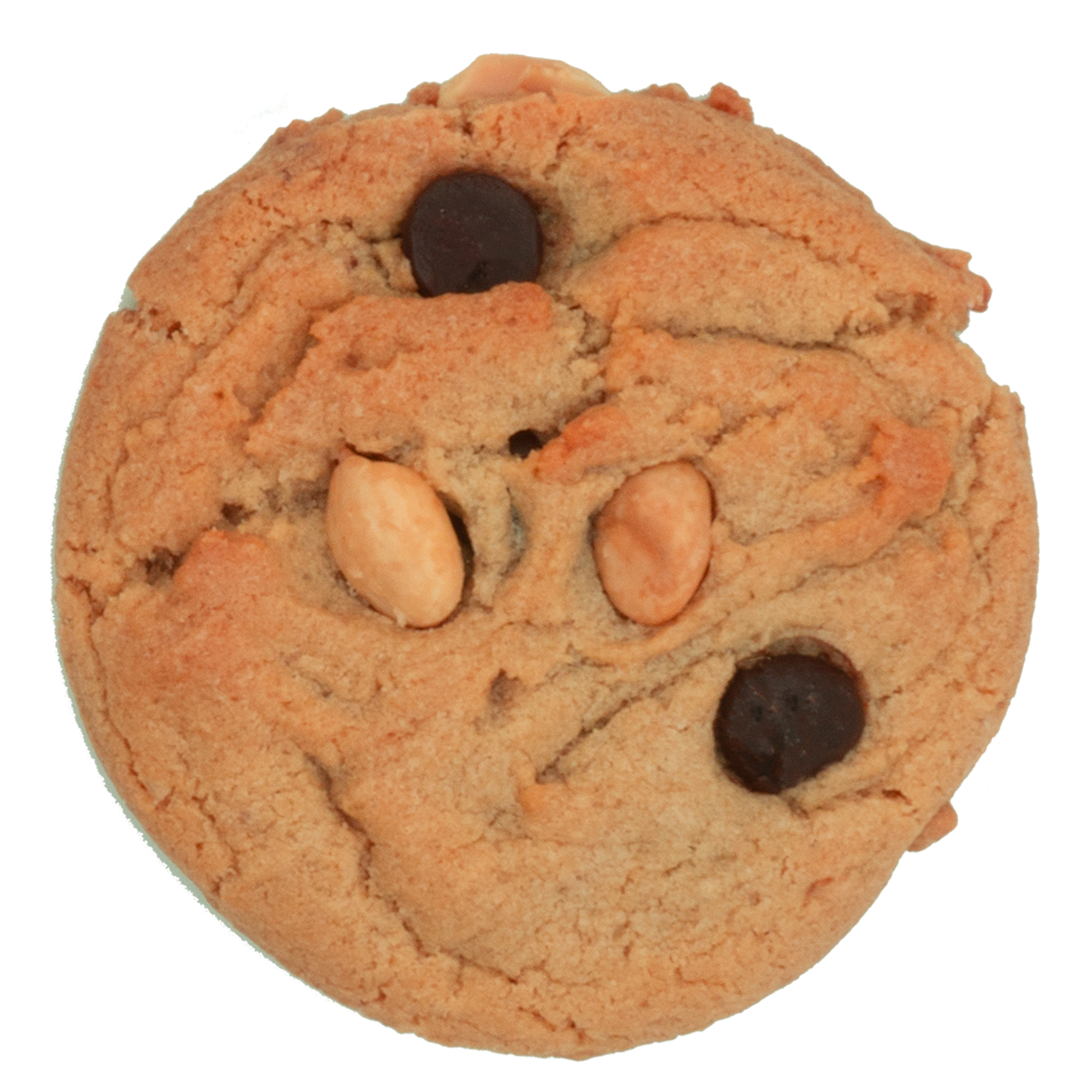 Peanut Butter Chocolate Chip